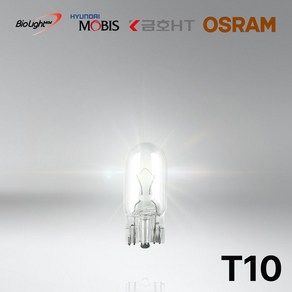 번데기 전구 T10 모음 모비스 금호 오스람 바이오라이트 12V25V 번호판 트럭 계기판, 금호 (백색) 12V5W, 1개