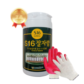 잘자람 S16 1kg 감자 소독약 생강 종자소독 흥농팜아그로, 1개, 1L