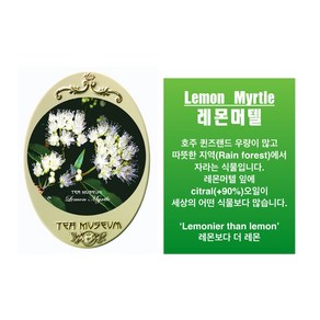 티뮤지움 레몬머텔_Lemon Mytle 비타민C 풍부, leaf, 2개, 20g, 1개입