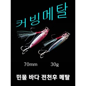 커빙메탈 30g 고등어 농어 삼치 갈치 볼락 메탈지그, 1개, 6번