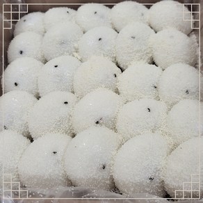 눈꽃 카스테라 잔기지떡, 600g, 1박스