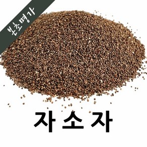 본초명가 중국산 자소자 600g 1개