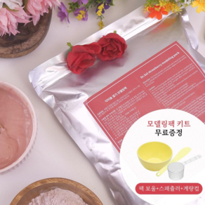 닥터솔 딸기 모델링팩 1kg 의사가 만든 나이아신아마이드 고무팩 콜라겐 미백 기능성 벌크 대용량 석고팩, 1개입, 1개