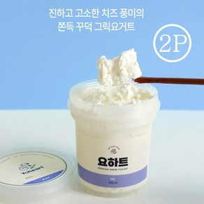 [요하트] 리치 극강의 풍미와 고소함이 가득한 쫀득꾸덕 그릭요거트 리치 500g, 2개