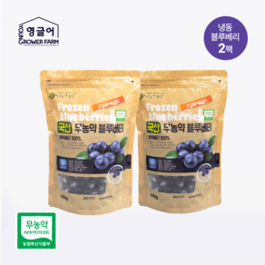 (주)영글어농장 무농약 국내산 냉동블루베리 1Kg (500gX2팩), 2개