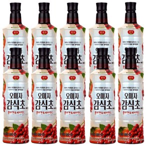 광야식품 오미자감식초 베이스 970ml, 10개