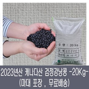 [다온농산] 수입 캐나다산 검정강낭콩 -20Kg- 마대 벌크, 1개