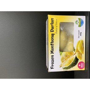 냉동 두리안 300g(아이스박스 냉매제 포함) 원산지:베트남, 1개, 300g