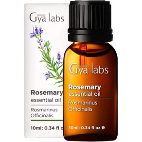 Gya Labs Rosemay Essential Oil 지야 랩스 로즈마리 에센셜 오일 10ml, 1개