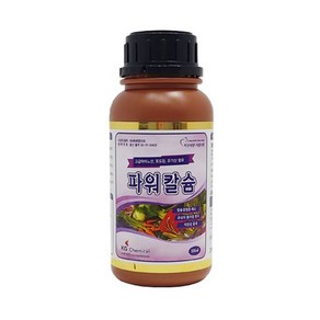 KG케미칼 파워칼슘 500ml 칼슘결핍 경감 및 회복제, 1개