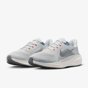 나이키 NIKE 페가수스 41 (여성) FD2723-007