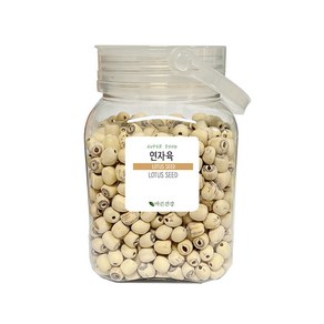 FOX SEED 거피 연자육 베트남산 껍질깐 연자육 차 [연심제거] 통 연자육 100%, 1개, 500g