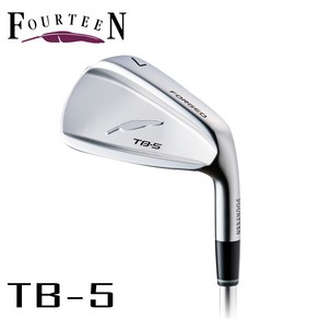 성화스포츠 포틴 TB5 아이언세트 포지드 6i, 6아이언(5-P), NS 950 S