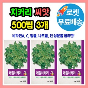 치커리 씨앗 (합 1500립) 종자 씨, 3개