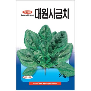 시금치 씨앗 20g - 대원시금치 주말농장 하우스 시금치씨 채소씨 야채씨, 1개