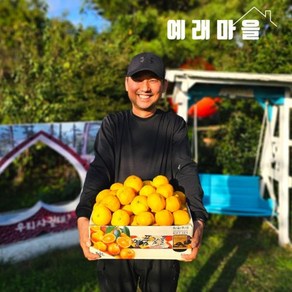 식탐대첩 예래마을 제주 서귀포 노지 감귤 10kg 특대과, 1개, 단품