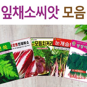 살아있는 씨앗 모음 채소씨앗 상추 쑥갓 궁채 유럽 치커리 루꼴라 치커리 청경채 시금치 파 양파 부추 도라지 곰취 더덕 곤드레 나물 내이 종자, D-청농부추, 1개