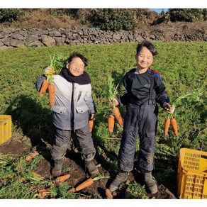 (태양이네)국산 제주 구좌 햇당근 흙당근 5kg 10kg 산지직송 주스용, 1박스, 제주구좌 흙당근 중 10kg