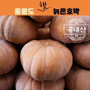 [신토불이]국내산 울릉도 햇 늙은호박 맷돌호박