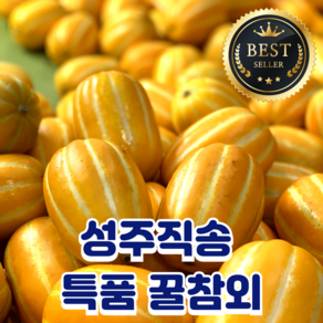 [성주참외]산지직송 당도보장 꿀참외 한정판매 프리미엄 로얄과, 1박스, 3kg(정품)