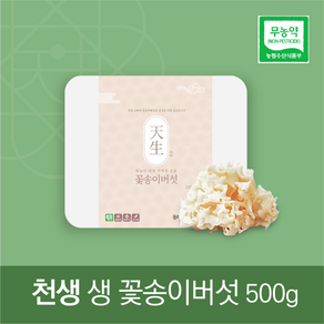 천생 생 꽃송이 버섯 500g _그린파워씨앤에스, 1개, 단품