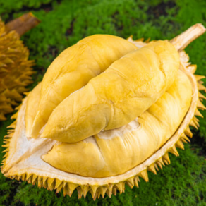 [특품선별] 태국 항공직송 생 두리안, 1세트, 옵션 1 (1.5kg)