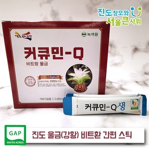 진도울금(강황) 비트환 스틱 출시 대용량 휴대와 섭취를 간편하게 2000mg 진도장모와서울큰사위, 1개, 60g