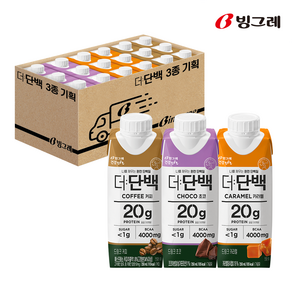 빙그레 더단백 드링크 프로틴음료 250ml 3종 기획, 1세트