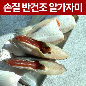 반건조 손질 알가자미 가자미 (냉동), 2개, 대