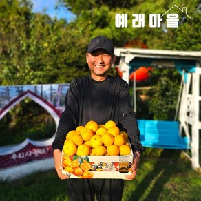 식탐대첩 예래마을 제주 서귀포 가정용 감귤 10kg 크기랜덤