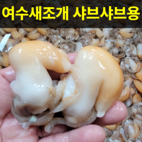 [싱싱가든] 새조개 샤브샤브용 깔끔한 손질 노랑새조개, 1개, 800g(급냉)