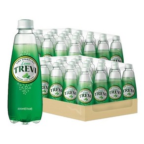 롯데칠성음료 트레비 라임 펫, 40팩, 300ml