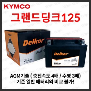 킴코 그랜드딩크 125 AGM 배터리 12V 8Ah, 1개