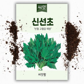 신선초씨앗(100립), 1개