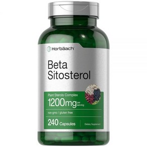 호바흐 베타 시토스테롤 스토스테롤 1200mg 240캡슐, 240정, 1개