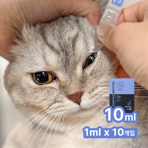 두카메디 국내 최초 고양이 전용 일회용 인공눈물 10ml 10p 고양이 눈곱 결막염 이물질 제거 안구보습, 10개, 1ml