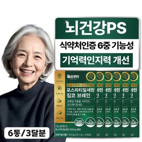 헬씨루틴 두뇌 기억력 인지력 케어 포스파티딜세린 징코 브레인, 6개, 30정