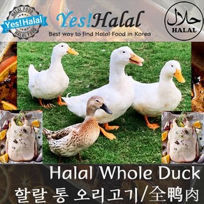 Yes!Global Halal Whole Duck 할랄 통오리, 1개, 2.2kg