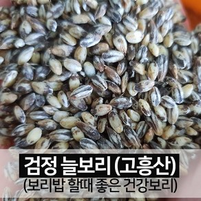 [진도장모와서울큰사위] 검정 늘보리 보리쌀 국산 꽁보리 [24년산 출하]