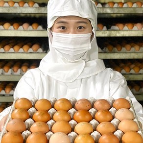 전라도청년 하루에 두번구운 HACCP인증 구운계란 훈제란 30구 무료배송+핑크솔트증정, [파손보장] 정직한 구운계란 60구 중란, 1개