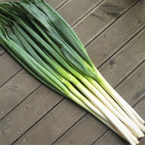 편리한 깐대파 수입 대파 손질대파 업소용 Spring Onion