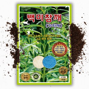 백미참깨 1000립 참깨 가지깨 씨앗 종자 모종 텃밭 주말농장 KS종묘 그린종묘농약사, 1개