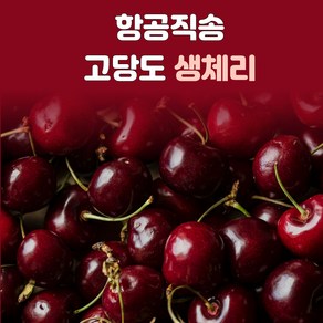 항공직송 호주 칠레 캘리포니아 새콤달콤 고당도 생 체리, 1개, 생체리 500g(대)