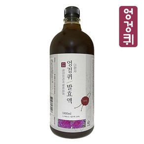 엉겅퀴 발효 원액 효소 3년 자연 숙성 발효액 액기스 엉겅퀴청 수제청, 1개, 1L