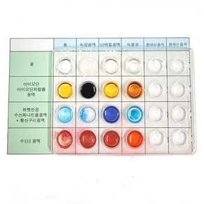 3대 영양소검출 실험키트, 5인용