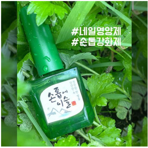 모스티브 이슬 손톱영양제, 1개, 14ml