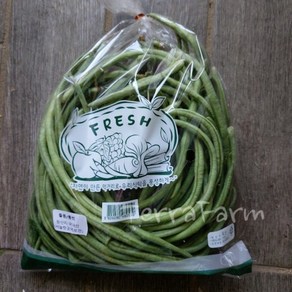 테라팜 줄콩 (500G) 롱빈 껍질콩 그린빈스 국내산, 500g, 1개