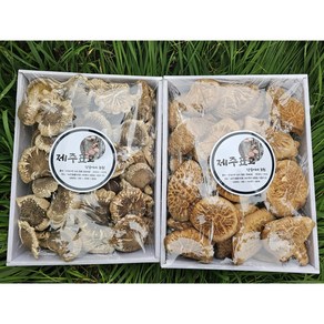 한라산 건표고버섯 500g, 대립(500g)잔치용, 1개