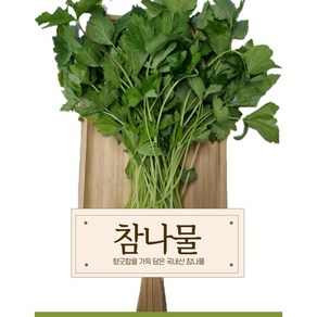 국내산 참나물 1kg, 1박스