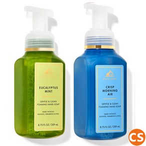 (1+1) 배쓰앤바디웍스 핸드솝 유칼립투스 크립스 모닝 젠틀 클린 포밍 2개 세트 Bath & Body Woks Gentle Clean Foaming Hand Soap, 259ml